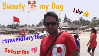 Sweety my dog #live #dog #pet #traveldiary16 #video