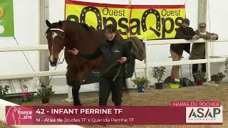 INFANT PERRINE