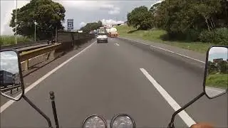 Tartaruguinha na correria das entregas ...