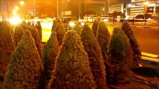December Drive in Dubai, UAE...!!!