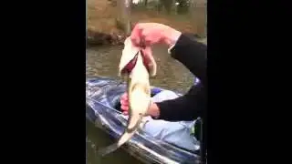 Tyler the bass bruiser