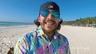 Indie Artist Showcase by Mylo the Cat