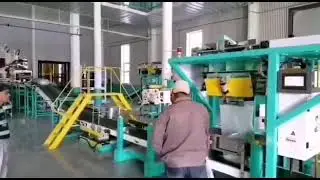 Robot Palletizer for pellets in the feed pellet mill plant, feed mill equipments