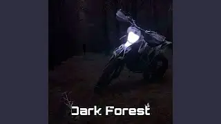 Dark Forest