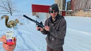 I Tried The Quietest Ammo For Squirrel Hunting