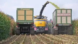 Maishäckseln mit New Holland FR650 | Gebr. Seegers aus Kalkar