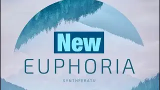 Groove pad (euphoria)