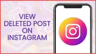 How to View Deleted Posts on Instagram | Instagram Guide