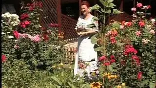 CRISTINA TURCU PREDA -Cand esti mama langa mine.avi