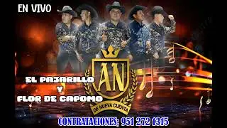 El pajarillo y flor de capomo - autentico norte&ntilde;o - totalmente en vivo
