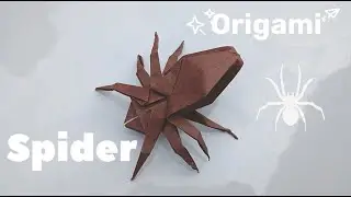 Origami Spider 🕷️ | 折り紙のクモ | How To Make Origami Spider | Paper Spider | DIY Craft Tutorial