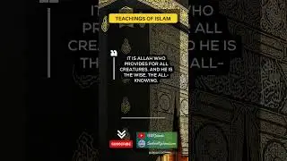 Allah Provider for All Creatures 🌍🍽️ #shorts #quran #hadees #muhammad