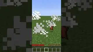 Donkey Dies