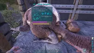 Beaver taming in the wild with a trap, Primitive+ ARK Total Conversion series 1 episode  7