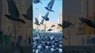 beautiful nasheed🥰😘🤲👍#ahamad