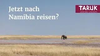 Der Etosha National Park fast menschenleer! Die beste Reisezeit f&uuml;r Namibia? Reisevlog &ndash; Teil 4/4