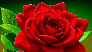 Islam learning 360 Assalamo alaikum to All members
