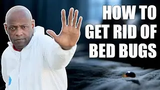 How to Get Rid of Bed Bugs The Professional Way 🛏️🪳