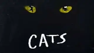 Cats México 1991. 03  El bautizo de un gato