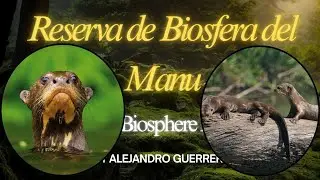 El lobo de r&iacute;o (Pteronura brasiliensis) Reserva de Biosfera del Manu final