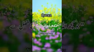 Iqbal Murder Case: इकबाल मर्डर केस मे क्या हुआ ? | Urdu Status Islamic WhatsApp Status