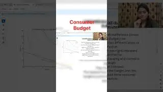 Consumer Budget Explained in 1 Minute | Budget Line & Budget Set | Class 11 Microeconomics | #Shorts