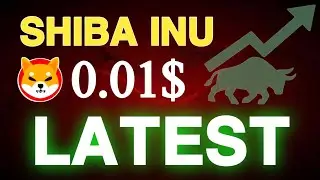 Shib Burn Ki BIG NEWS! Ab 0.01$ Ka Safar Shuru? 🚀 (Shibarium Update)