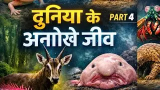 10 Strange Animals in the World | Rare & Mysterious Creatures Hindi