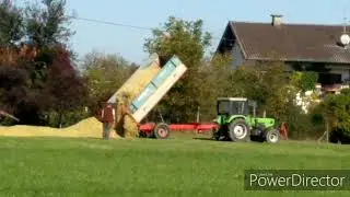 Maishäckseln extrem 2019 mit Deutz,ihc,eicher