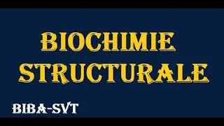 cours biochimie structurale partie 2  les acides aminés '