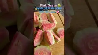 Pink Guava 🍐 #pinkguava