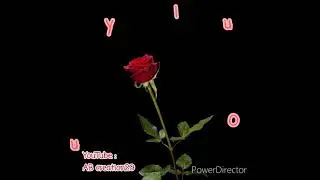 Rose day (whatapps status) happy rose day | 2021 rose day status song   #valentine day 2021 #Roseday