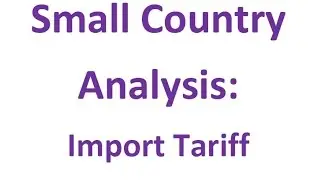 Import Tariff: Small Country Analysis