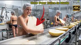 Inside a Modern Pear Factory: How Pear Juice Is Made (Full Process) | Fruit Automation