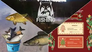 Stufe 4 Non-Premium - Neujahrs Herausforderungen | Russian Fishing 4