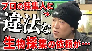 【違法】捕まえてはいけない生物に関する依頼が…