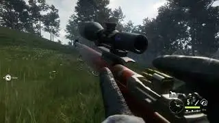 COTW highlights