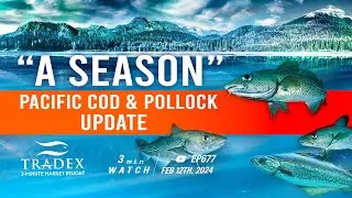 3MMI - Alaska &ldquo;A&rdquo; Season Cod & Pollock: Slower Landings, Complicated Market Dynamics