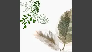 Mellow Backdrops for Future Musing