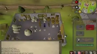 OSRS Untrimmed Agility cape + Full Graceful trick