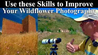 HOW to Photograph Wildflowers with Context 📷 Nature Photography