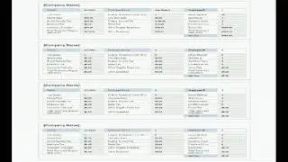 Paycheck Stub Template