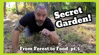 Planting A Secret Survival Garden  #diy #family #homestead #house #fun #garden