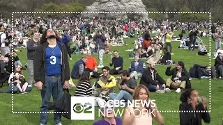 Eclipse draws experts and observers to NYC's Central Park