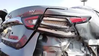 مكسيما 2020 وارد امريكي مزاد