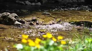 Positive energy,Great Mood & Positive Thinking,Stress Relief, Meditation Music