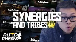 Synergies & Tribes Guide! | Amaz Auto Chess