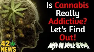 Studies Suggest a Rise in Cannabis Addiction, But is it Real? | 420 News #6
