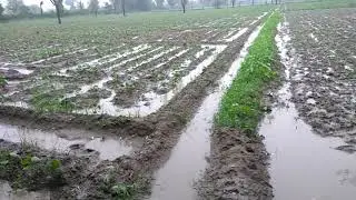 Rajasthan in marwar village heavy Rain in today morning