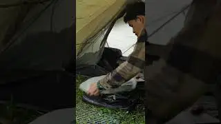 NO TALKING, JUST RAIN AND FOREST SOUNDS #camping #rain #shorts